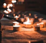 Eddie wingertsahn GHMVKH Lion0 unsplash