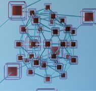 Guerrillabuzz 7h A2wq Bc SF8 unsplash